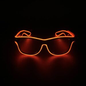 LED Eyeglasses EL Wire Ray